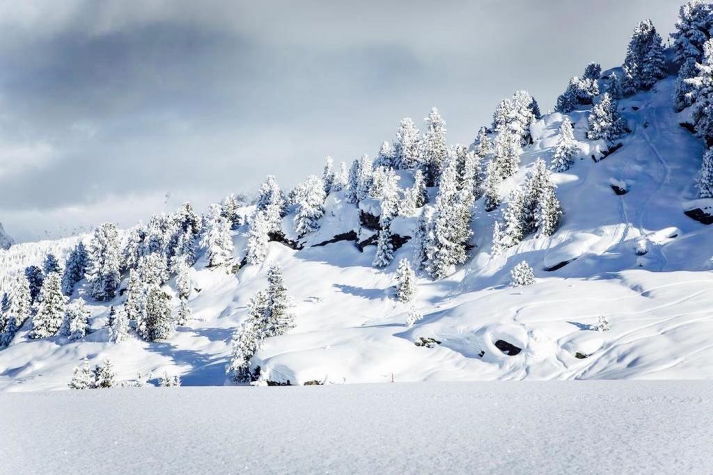 Domaine du Jardin Alpin Apartment Courchevel Exterior foto